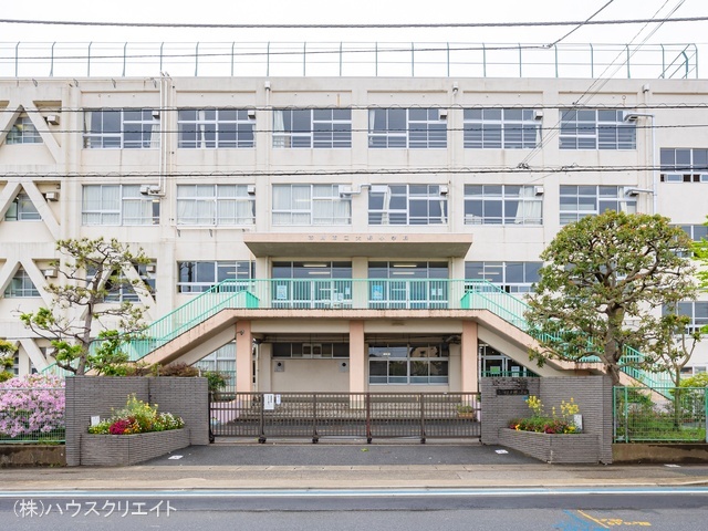 市川市立大野小学校 距離300m