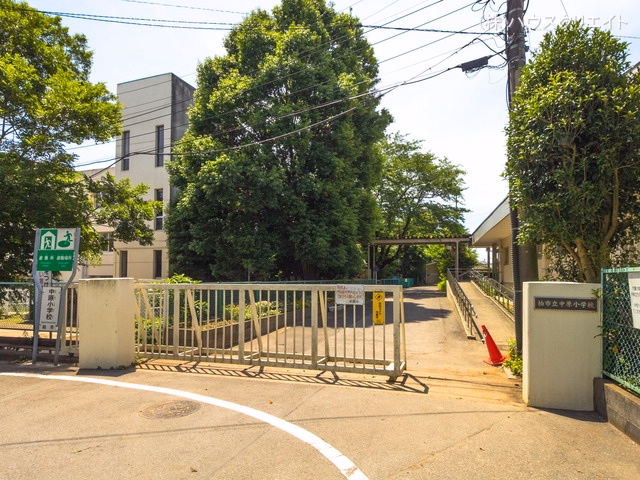 柏市立中原小学校