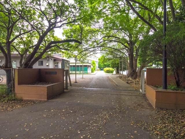 柏市立藤心小学校　距離560m