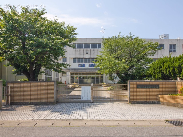 千葉県松戸市小山の新築戸建て周辺 松戸市立南部小学校　距離290m