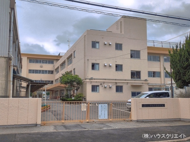松戸市立新松戸南中学校
