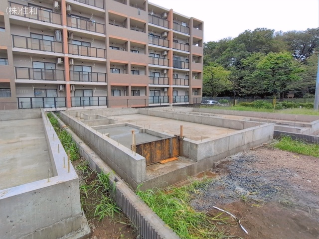 基礎