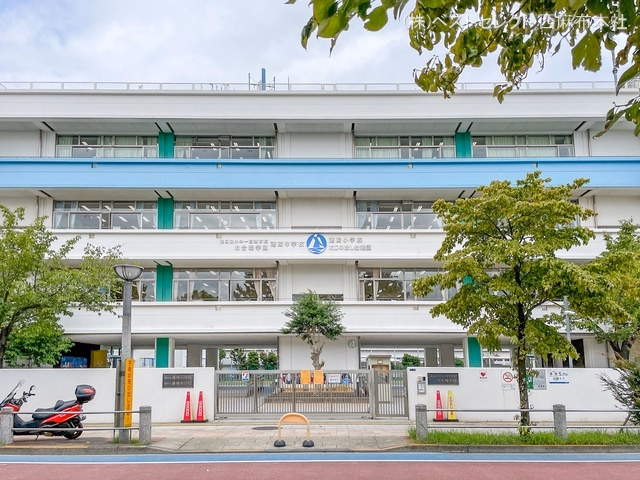 港区立お台場学園港陽中学校