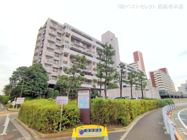 東京都品川区八潮５丁目のマンション『シティコープ八潮台46号棟』外観写真 2025年11月12日撮影