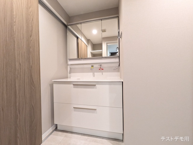プランヴェール川口 洗面所