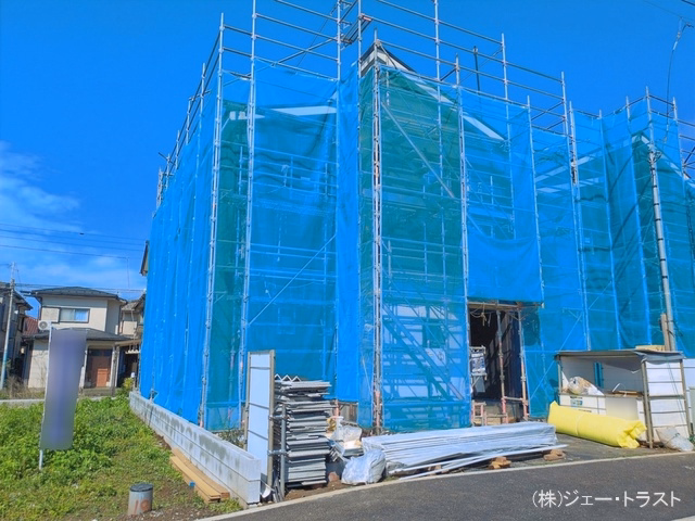 シート