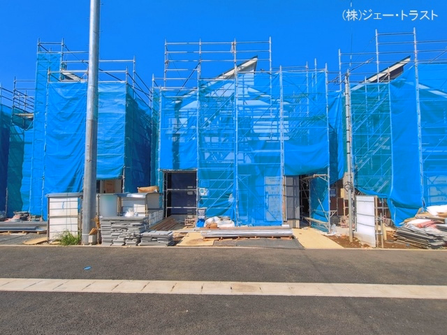シート