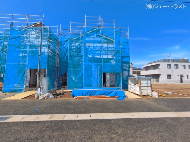 シート