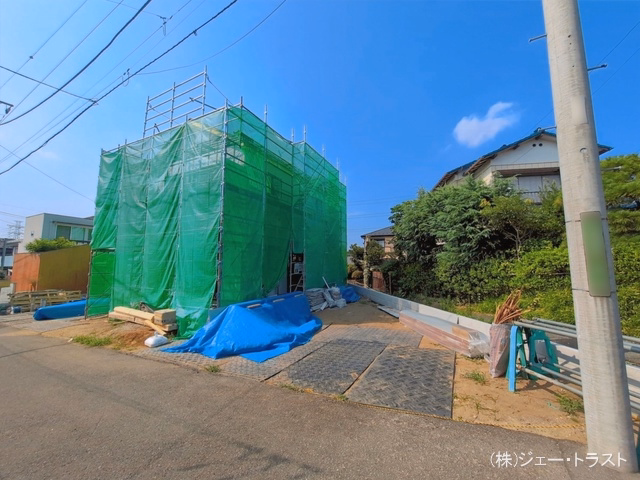 シート