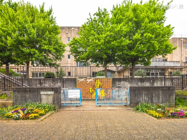 柏市立松葉第一小学校　距離700m