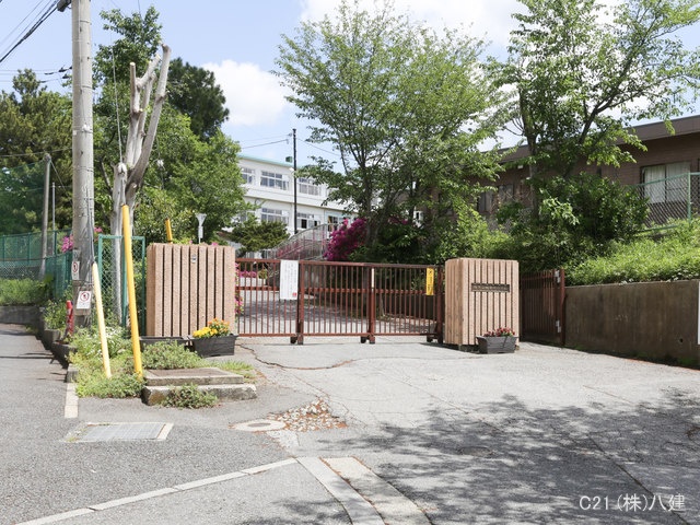 柏市立柏第四小学校 距離1200m