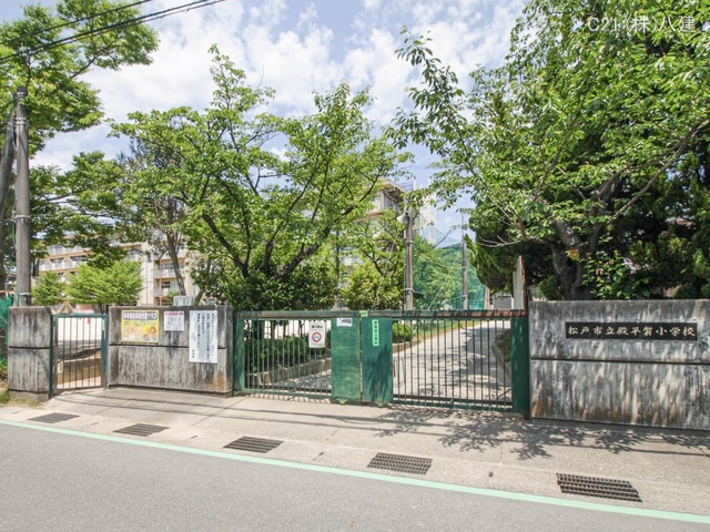 松戸市立殿平賀小学校 距離900m