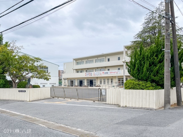 千葉県松戸市新松戸７丁目の新築戸建て周辺 松戸市立小金中学校　距離1900m