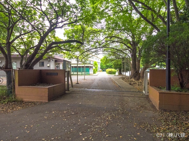 柏市立藤心小学校 距離560m