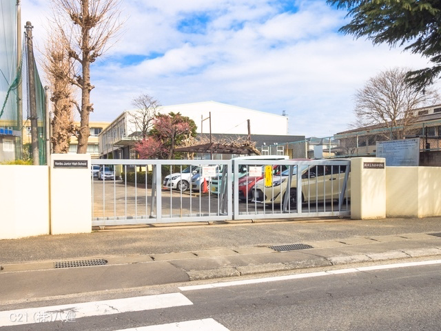 千葉県柏市南増尾5丁目の新築戸建て周辺 柏市立南部中学校 距離560m