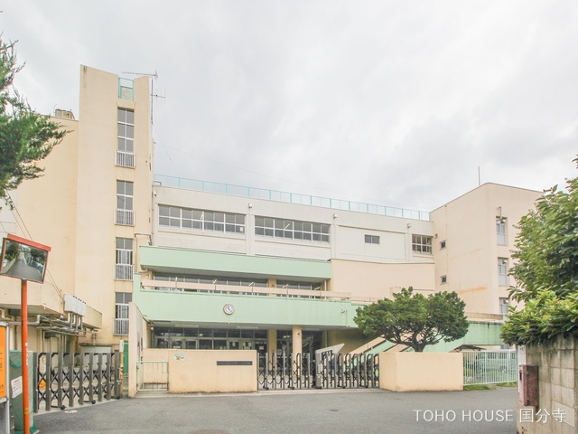 国分寺市立第一小学校　距離800m
