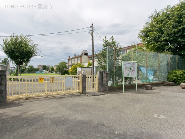 小金井市立前原小学校 距離1000m