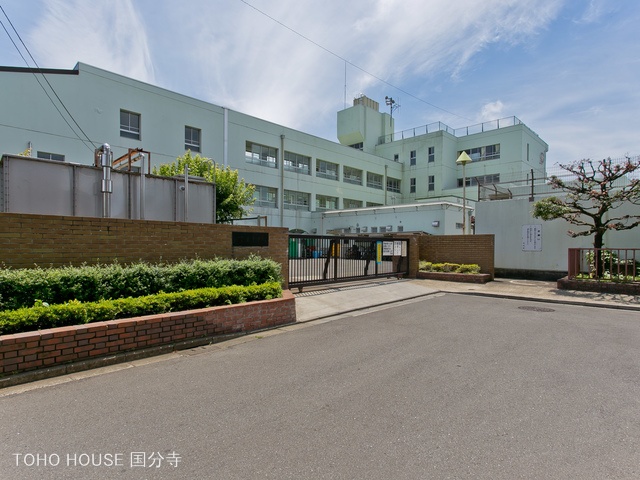 小金井市立南中学校 距離500m