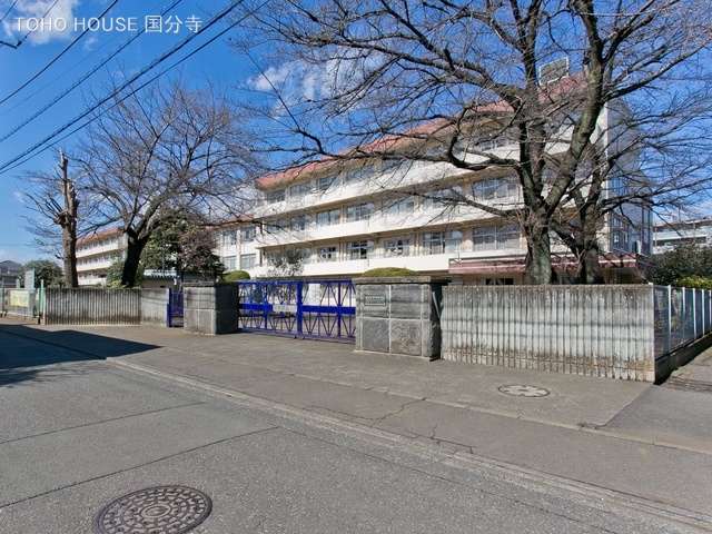 小金井市立小金井第四小学校 距離160m