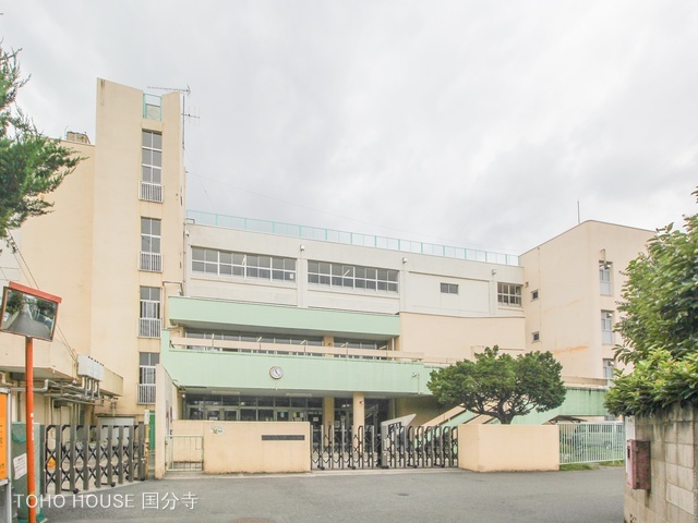 国分寺市立第一小学校 距離500m