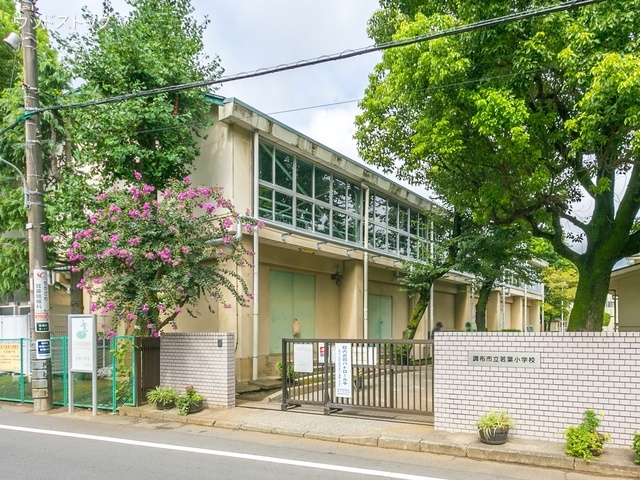調布市立若葉小学校 距離1000m