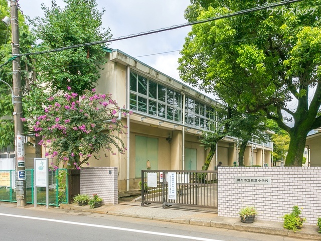 調布市立若葉小学校 距離700m