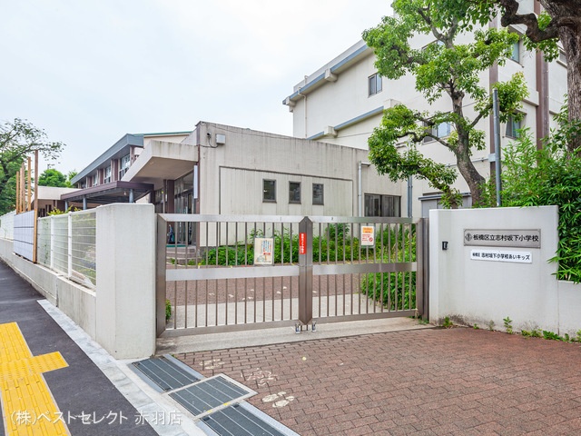 板橋区立志村坂下小学校 距離220m