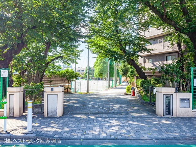 板橋区立赤塚第一中学校 距離290m