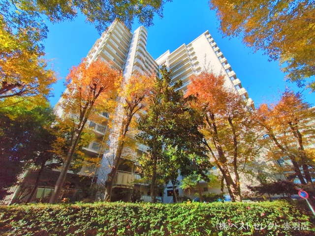 東京都板橋区中台3丁目のマンション『サンシティJ棟(志村三丁目)』外観写真 2024年12月1日撮影