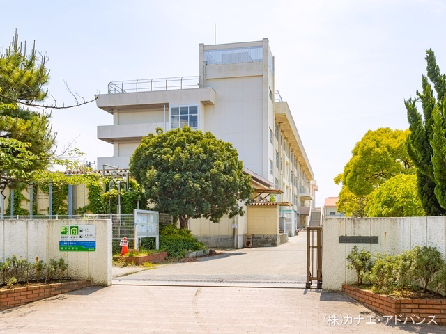市川市立福栄中学校