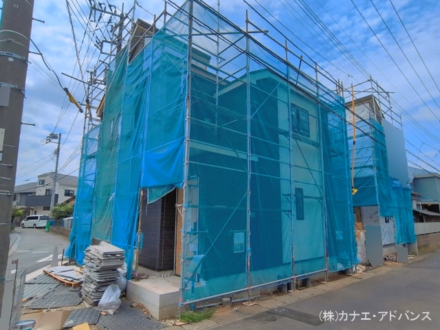 シート