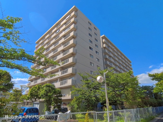 千葉県市川市鬼高2丁目のマンション『市川ハイツB棟』外観写真 2026年5月11日撮影