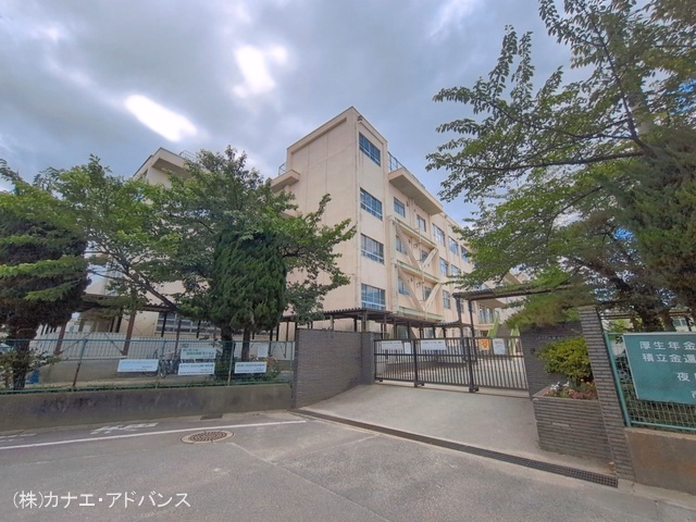 市川市立新井小学校