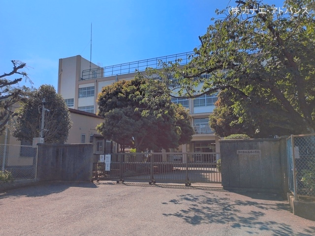 市川市立柏井小学校