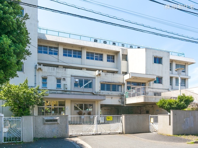 府中市立小柳小学校　距離540m
