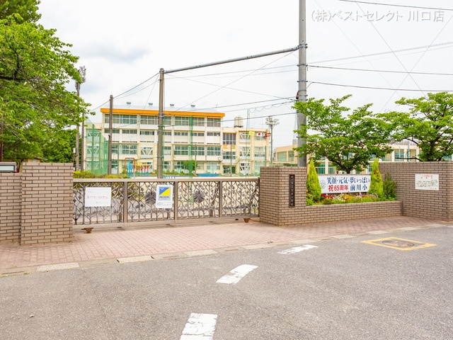 川口市立前川小学校 距離450m
