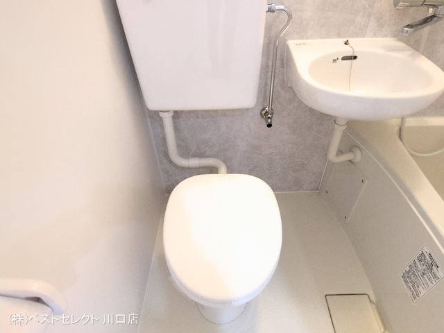 埼玉県川口市川口４丁目のマンション『川口第一永谷マンション』トイレ写真 2025年6月9日撮影