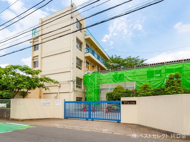 川口市立前川東小学校 距離240m