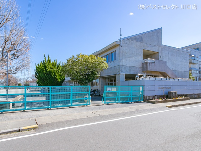 川口市立辻小学校 距離350m