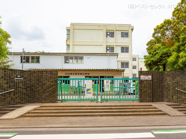 川口市立芝中央小学校 距離430m