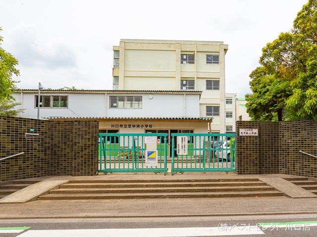 川口市立芝中央小学校 距離430m