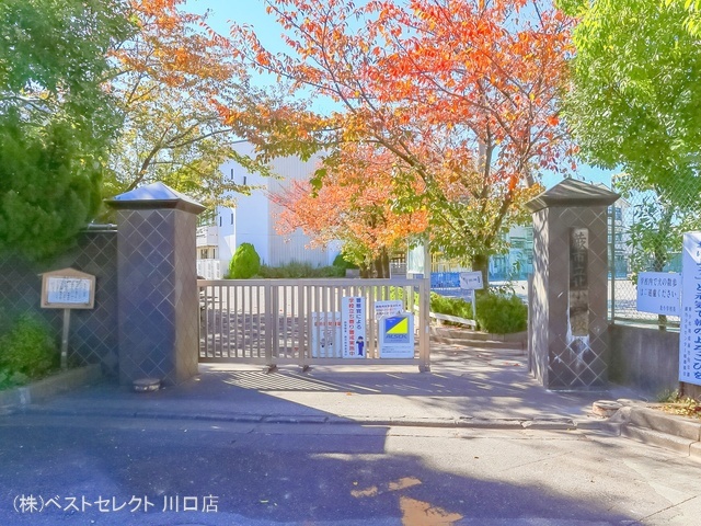 蕨市立北小学校　距離700m