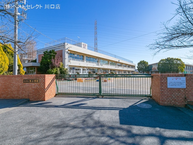川口市立里小学校　距離730m