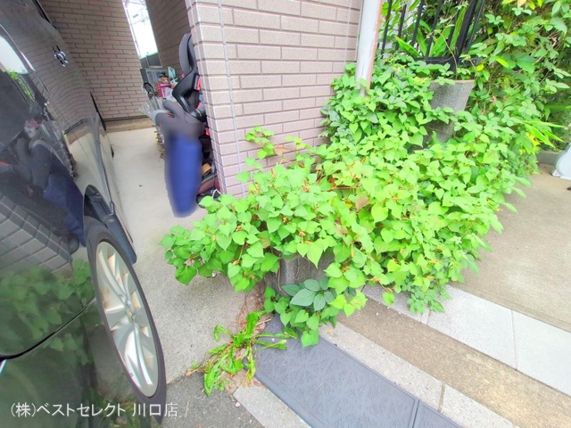 埼玉県蕨市中央２丁目の中古戸建て完成写真 2025年7月1日撮影