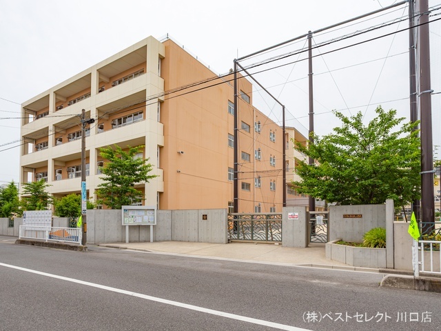 川口市立青木中央小学校 距離500m