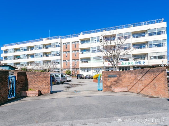 川口市立神根中学校 距離2700m