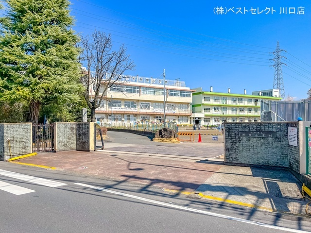 川口市立新郷小学校 距離480m