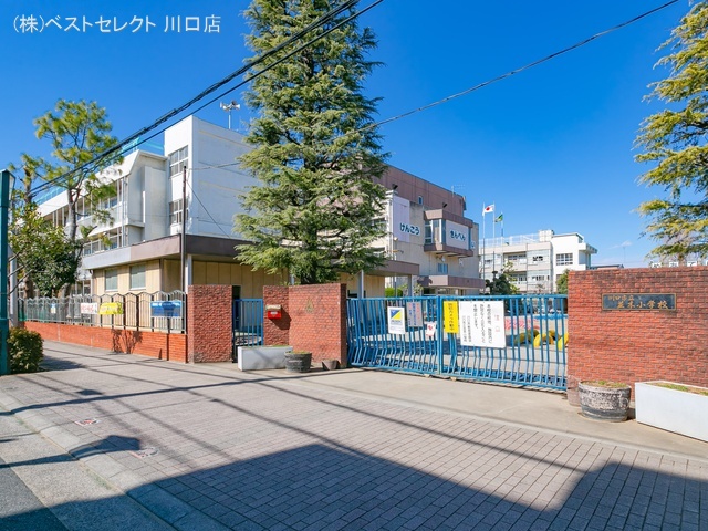 川口市立並木小学校　距離1420m