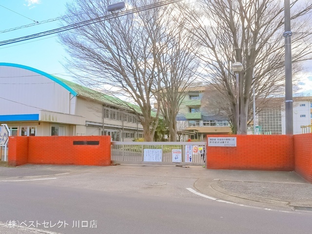 蕨市立中央小学校 距離600m