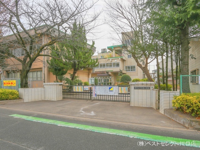 蕨市立中央東小学校　距離320m